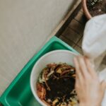 Beginner Tips for Composting at Home